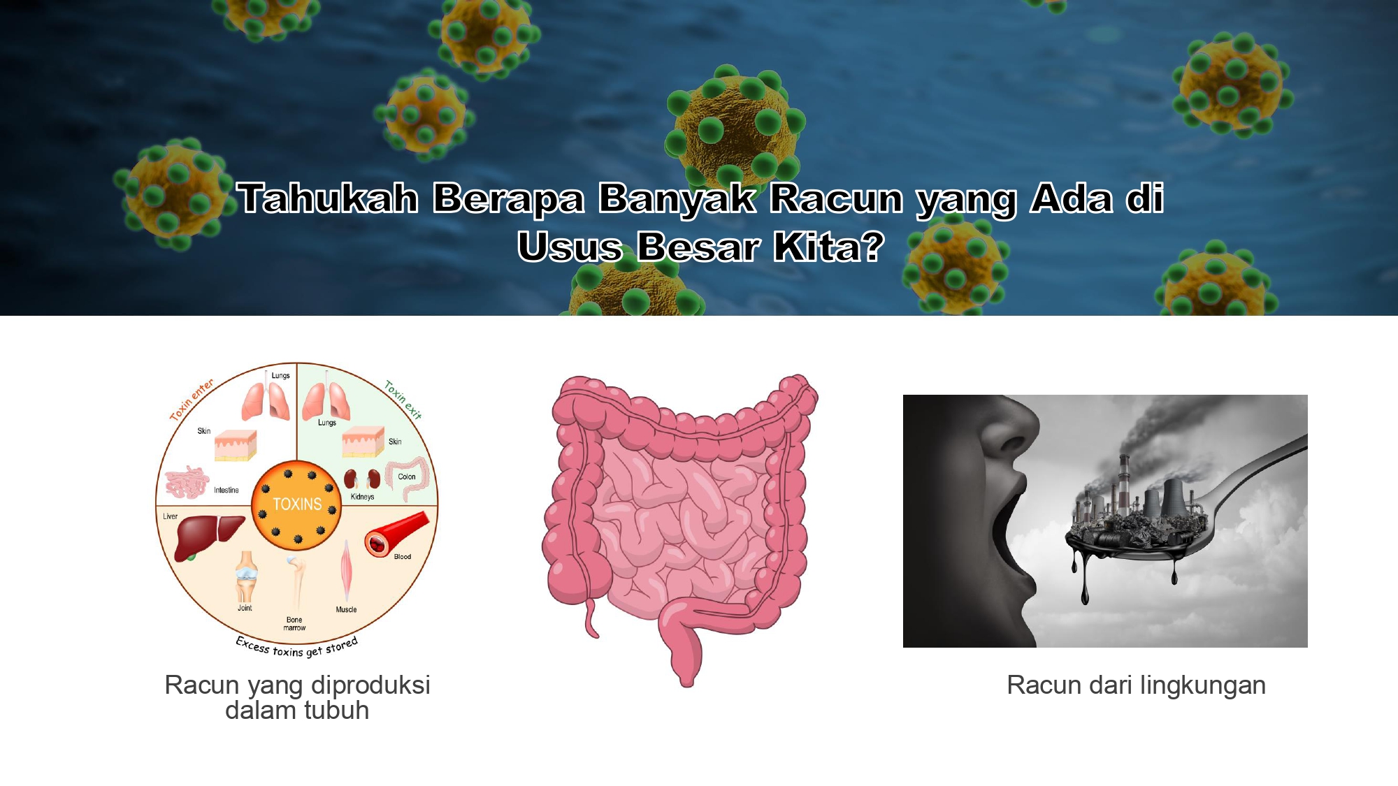 Education content image